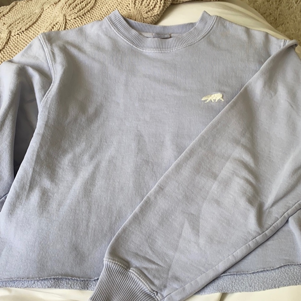 brandy melville cropped crew